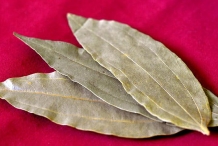 Indian-Bay-Leaf--Indian-Bark