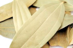 Indian-Bay-Leaf--Laurier-des-Indes