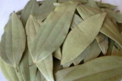 Indian-Bay-Leaf--Indisches-Lorbeerblatt