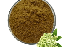 Extract-of-Indian-devil-tree