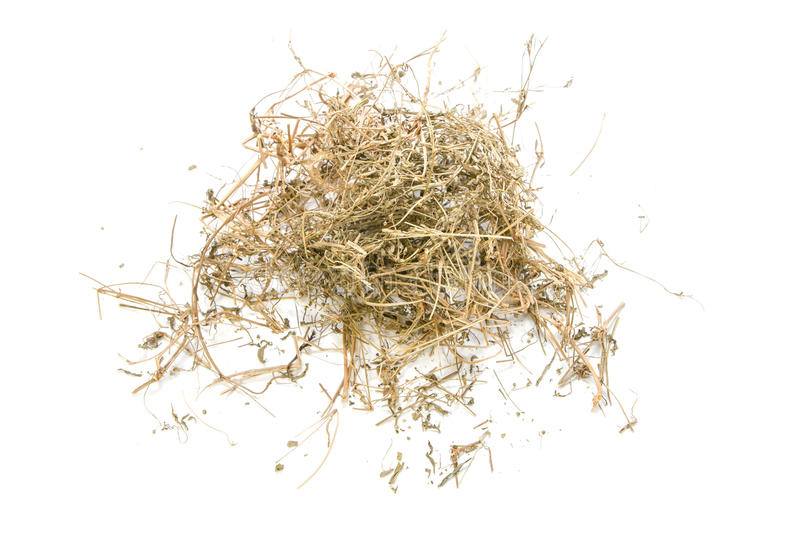 Dried-Indian-Goosegrass