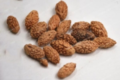 Seeds-of-Indian-Jujube