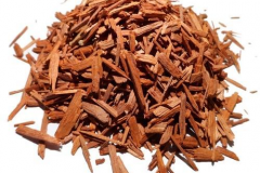 Dried-woods-of-Indian-kino