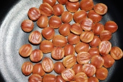 Seeds-of-Indian-Plum