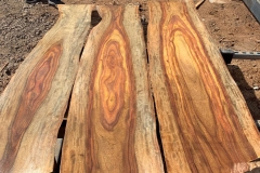 Woods-of-Indian-rosewood