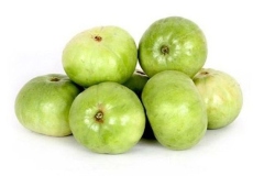 Indian-round-gourd