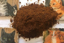 Seed-powder-of-Intellect-tree