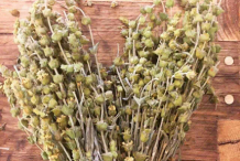 Dried-Ironwort-plant