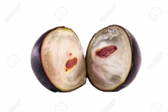 Half-cut-Jaboticaba