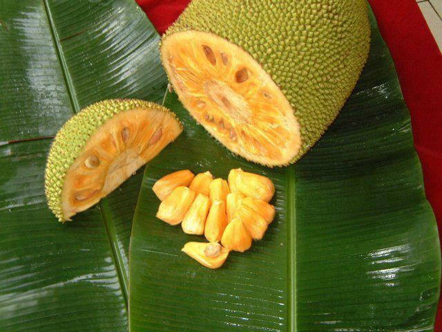 Jackfruit-cut-Banun