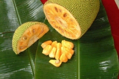 Jackfruit-cut-Banun