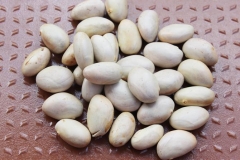 Jackfruit-seeds-Kanthal