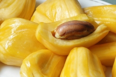 Jackfrut-bulb-Khnaor