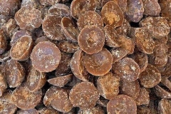 Jaggery-palm