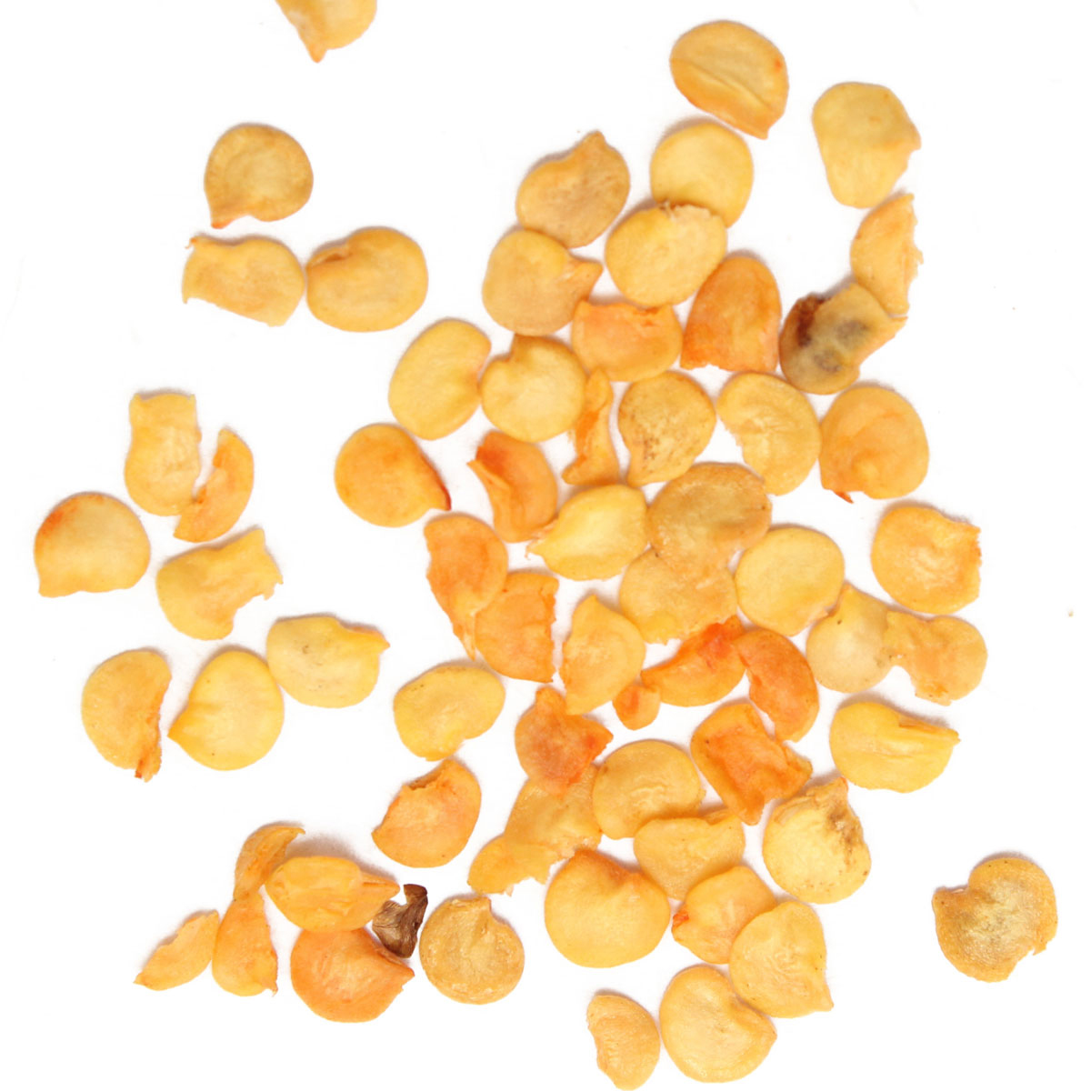 Jalapeno-pepper-seeds