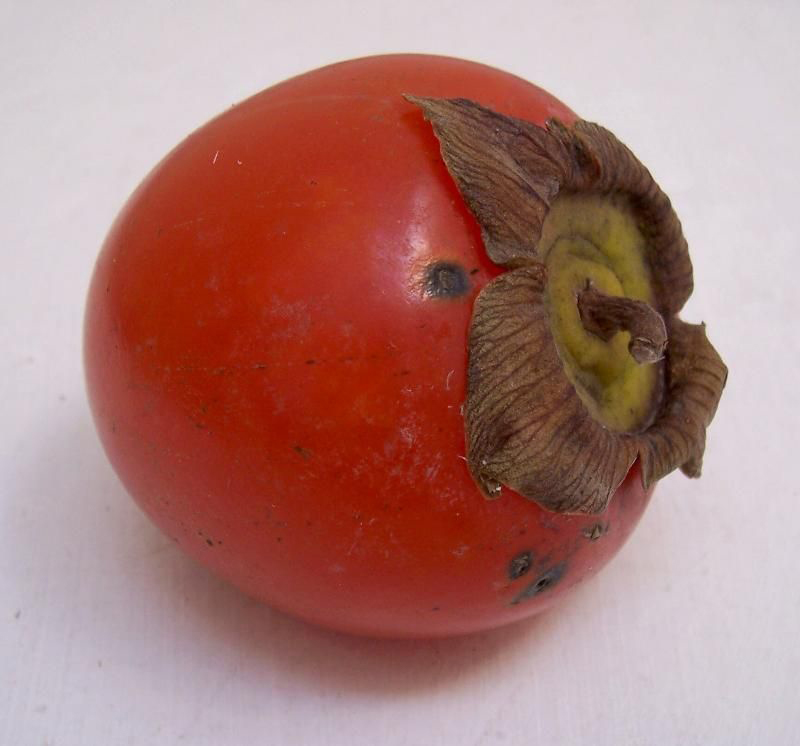 Close-view-of-Japanese-Persimmon-fruit