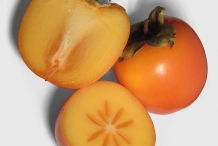 Half-cut-Japanese-Persimmon