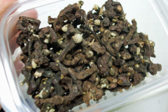 Dried-fruits-of-Japanese-raisin-tree