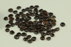 Seeds-of-Japanese-raisin-tree