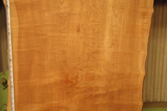 Wood-of-Japanese-raisin-tree
