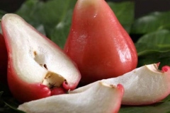Half-cut-Java-apple