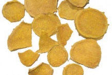 Small-pieces-of-rhizomes-of-Javanese-Turmeric