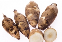 Jerusalem artichoke Facts, Health Benefits & Nutritional Value