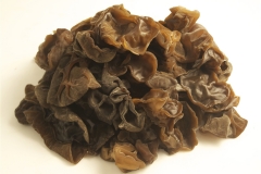 Jew's-ear