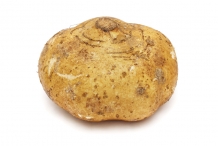Jicama