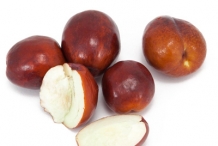 Jujube-fruit-brown-cut