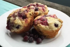 Juneberry-Muffins