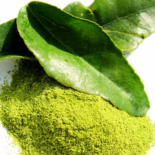 Kaffir-Lime-leaves-powder