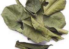 Dried-Kaffir-Lime-leaves