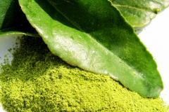Kaffir-Lime-leaves-powder