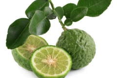 Kaffir-Lime