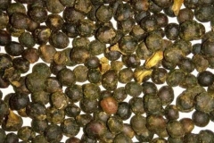 Seeds-of-Kamala-tree