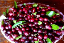 Ripe-Karanda-fruit-on-the-plate
