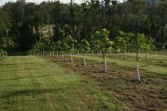 Farm