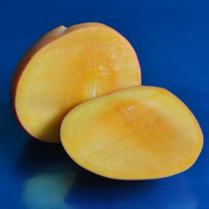 Half cut Kalimantan mango