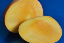 Half cut Kalimantan mango