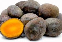 Kalimantan-mangoes-collection