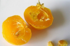 Half-cut-kei-apple