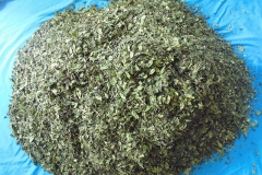 Dried-leaves-of-Khat