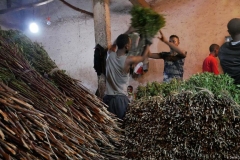 Khat-sold-in-market