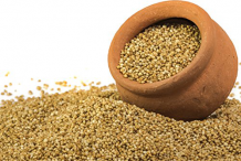 Kodo-Millet