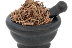 Dried-Korean-Mint