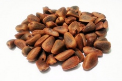 Seeds-of-Korean-pine