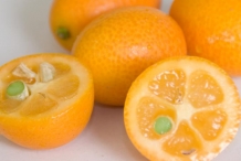Kumquats-fruit-half-cut