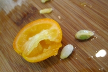 Kumquats-seeds