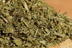 Dried-Ladys-Mantle-herb